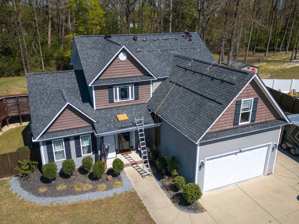 Best Roof Moss and Algae Removal  in Stanberry, MO